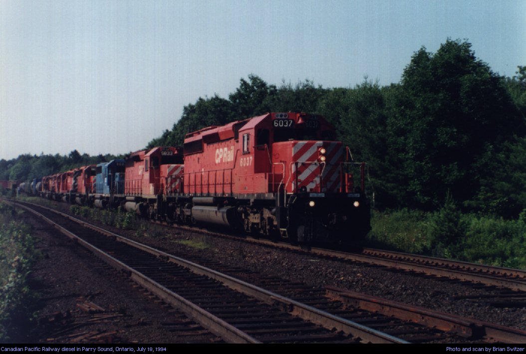 CP6037.jpg