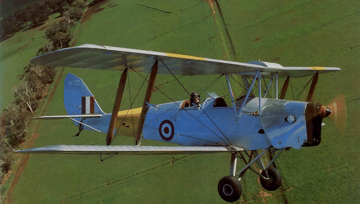 Tiger_Moth.jpg