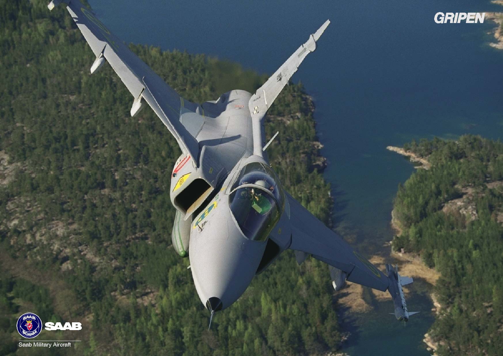 gripen6.jpg