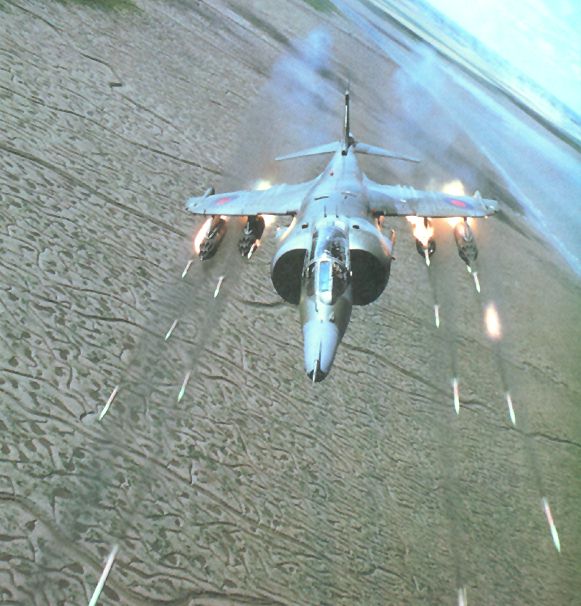 harrier_2.jpg